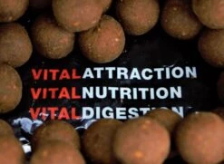 Vital Baits Boilies The Kraken 18mm (1kg) -Sportvissen Winkel 11bac9b878844236