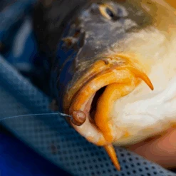 Fjuka Natural 2in1 200gram -Sportvissen Winkel 173e3a2163a6a35f