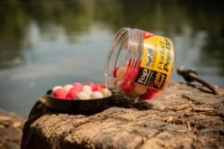 Solar Pink And White 18mm Top Banana Pop Ups Per Kg