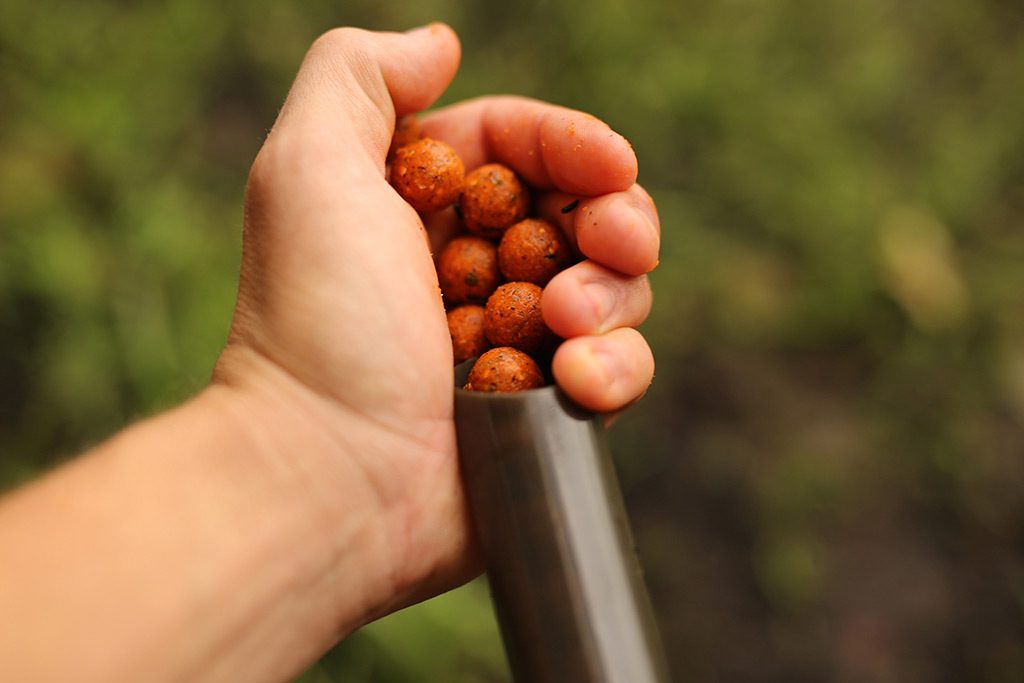 Sportvissen Winkel 2 Sportvissen Winkel -Sportvissen Winkel Thomas en de Maple Pistache Boilie een succesvolle combinatie2 1024x683 1