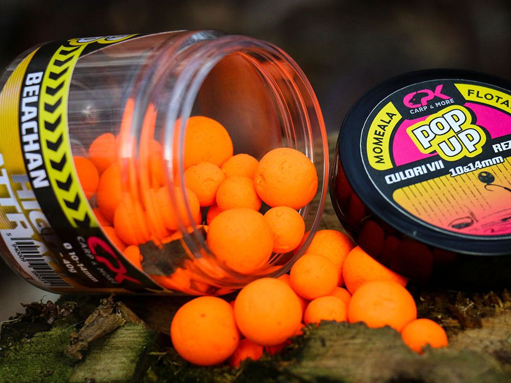 Sportvissen Winkel 25 Sportvissen Winkel -Sportvissen Winkel belachan pop up