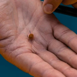 Fjuka Natural 2in1 200gram -Sportvissen Winkel d63055fda4442628