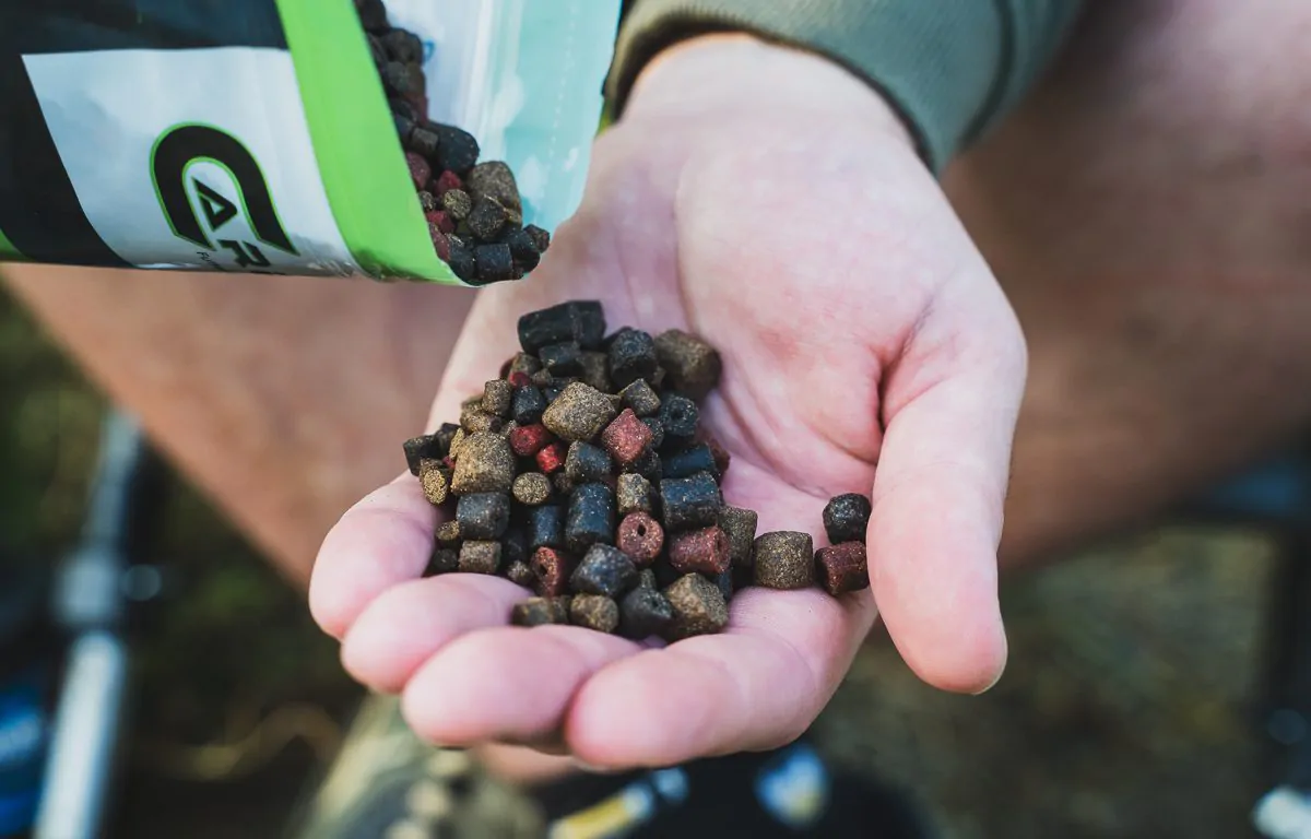 Sportvissen Winkel 27 Sportvissen Winkel -Sportvissen Winkel twelvefeetmag Carpline24 Pellets2 1200x768 1